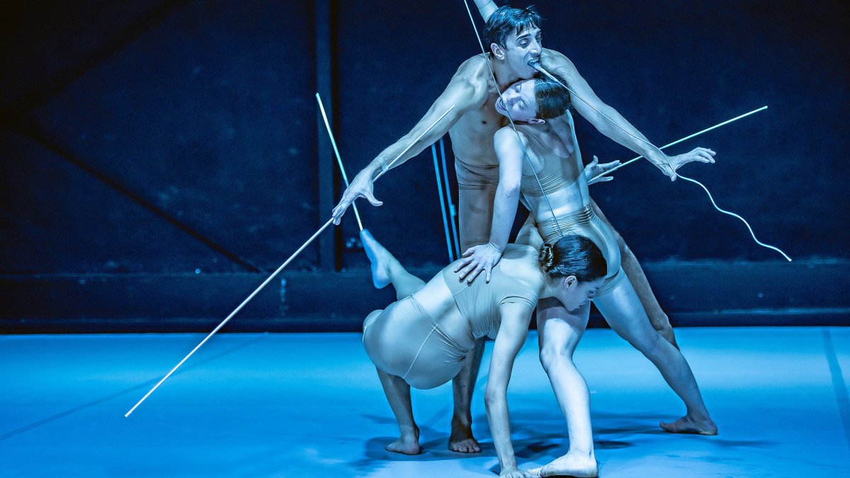 Music for Techno Fauna | 2021